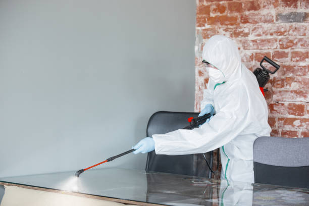 Best Emergency Mold Remediation  in Smackover, AR